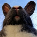 Flipboard profile picture for @Grape