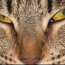 Flipboard profile picture for @xoxo