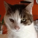 Flipboard profile picture for @puce