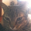 Flipboard profile picture for @Meche