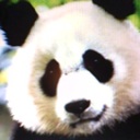 Flipboard profile picture for @melgar