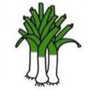 Flipboard profile picture for @emit