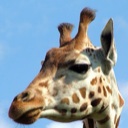 Flipboard profile picture for @Jasmine