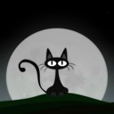 Flipboard profile picture for @CharS