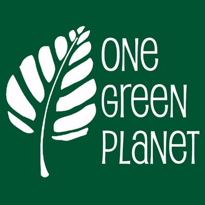 Avatar - One Green Planet
