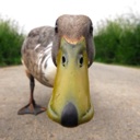 Flipboard profile picture for @alpha