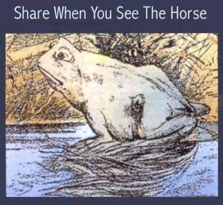 Find The Horse