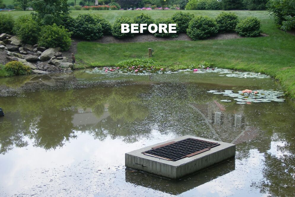 Lake Rebuild Before And After - cover