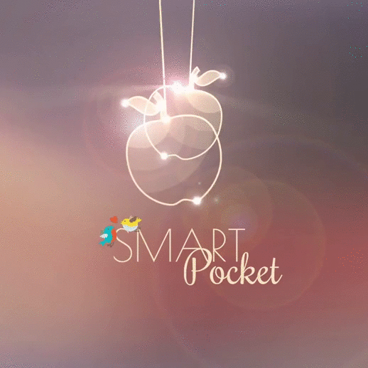 SMART POCKET - cover