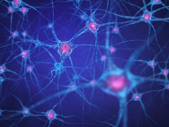 Understanding the limits of deep learning