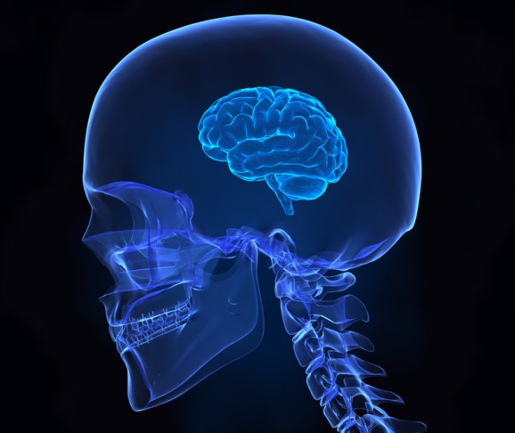 Sitting all day is bad for your brain, too