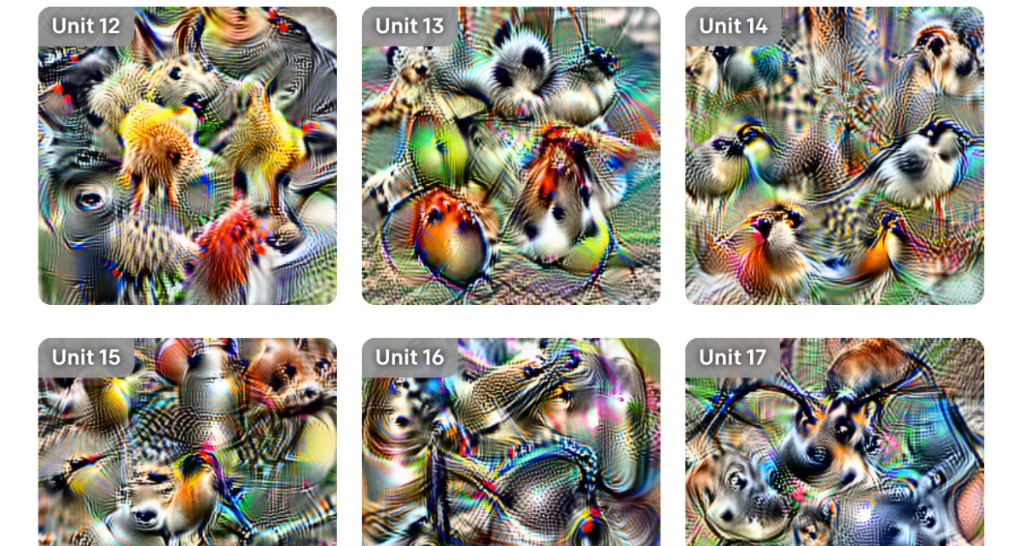 OpenAI launches Microscope to visualize the neurons in popular machine learning models