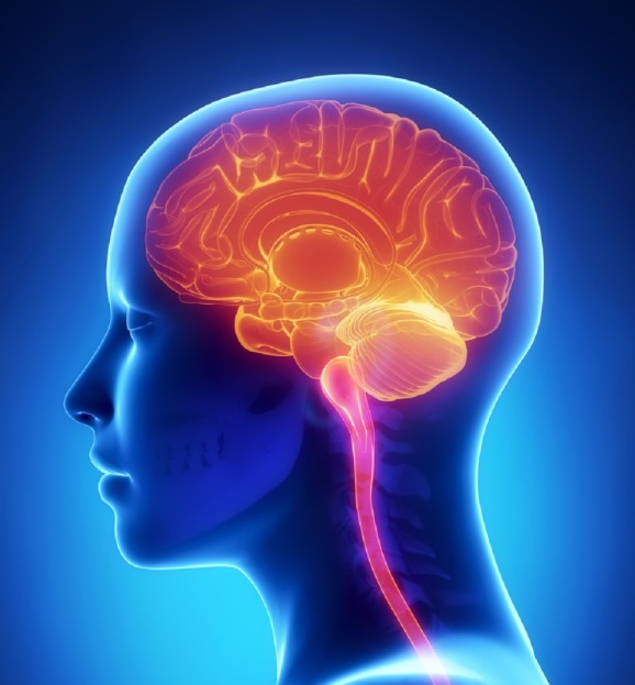 After nine years of research, Numenta finally has apps that mimic the way the brain works (interview)