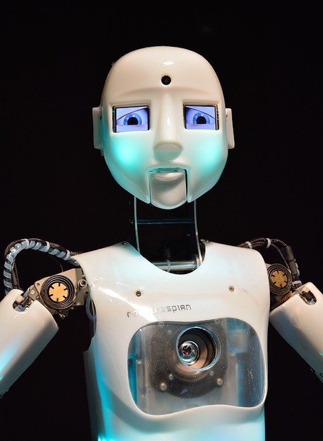 Apocalypse or golden age: What machine intelligence will do to us