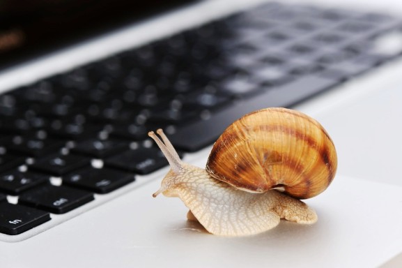 This startup just pocketed $5M to turn your app from a snail to a gazelle