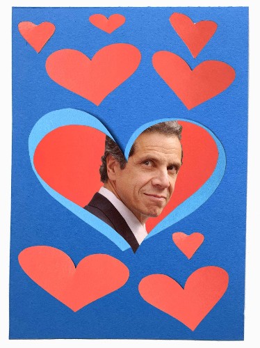 Dear Andrew Cuomo, I Want to Be Your First Lady