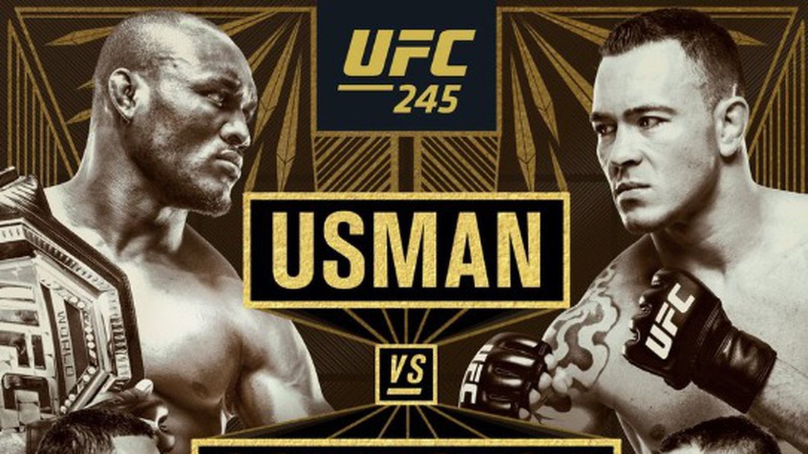 Pic! UFC 245 Poster Drops Featuring 3 Title Fights! - Flipboard