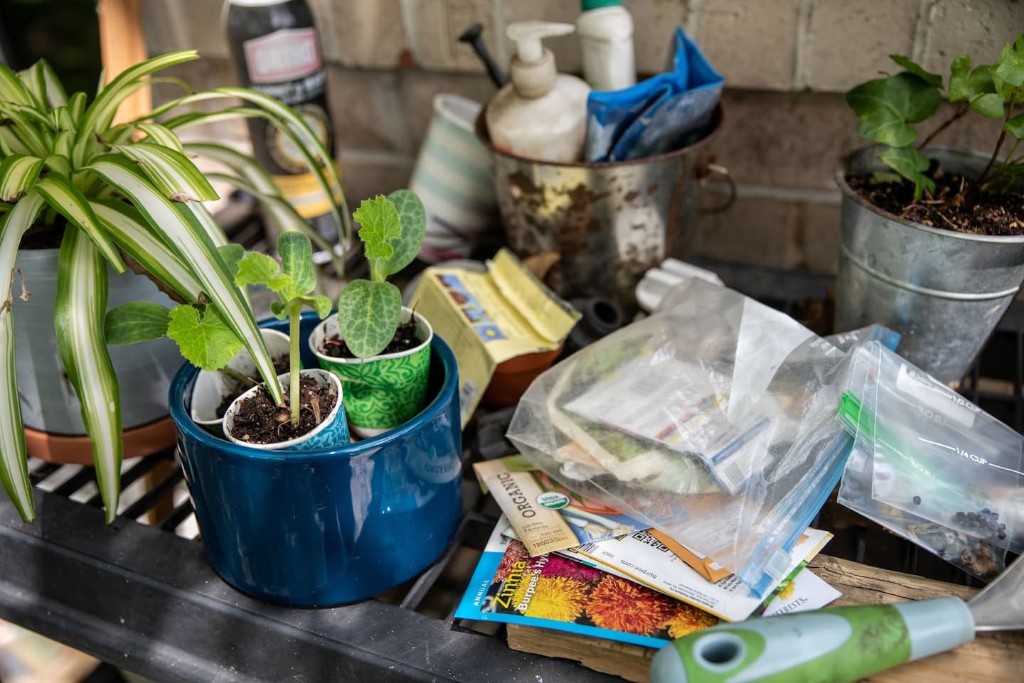 Gardening boosts your mood as much as some types of exercise, study finds