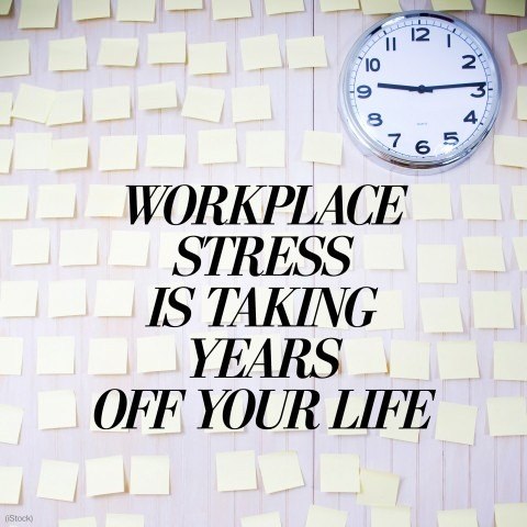 Stress & Lifespan