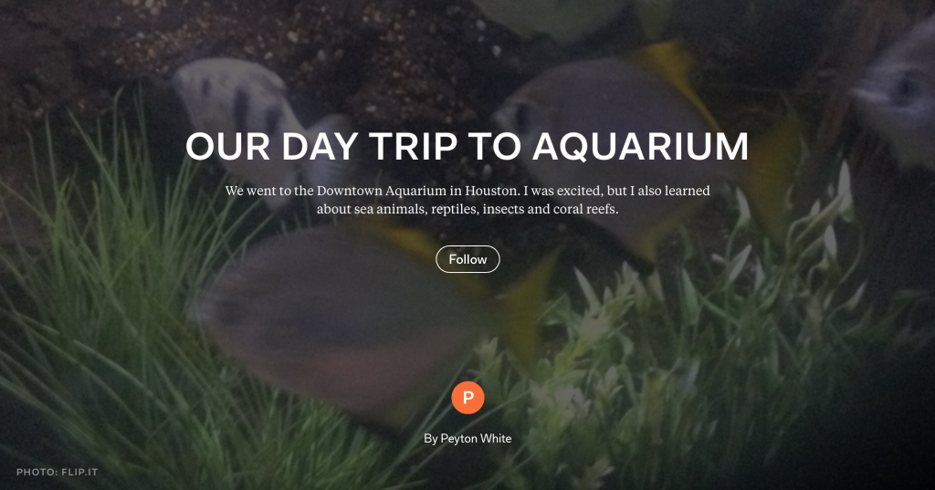 DayTrip_to_the_Aquarium