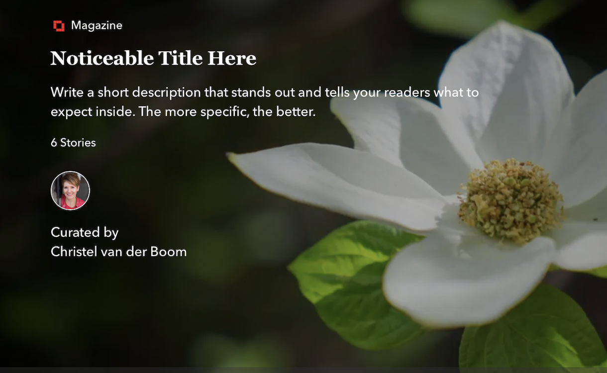 Flipboard Magazine with a flower on the cover, titles "Noticeable Title Here"